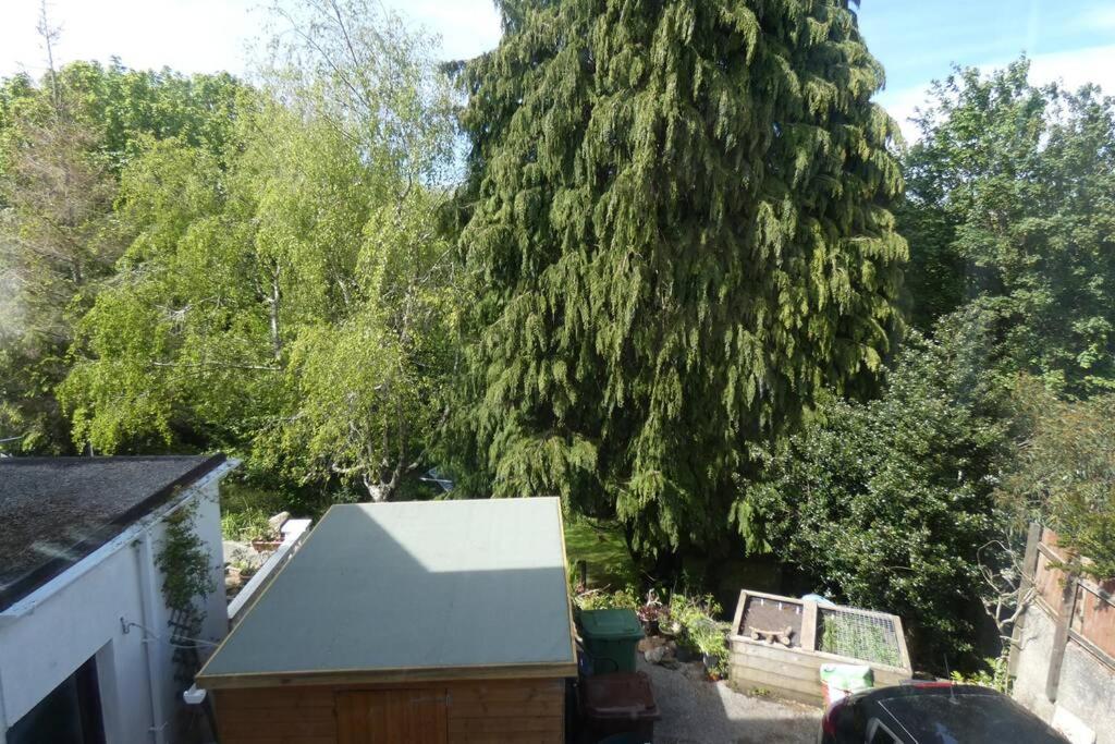 Apartament Ferney Croft Saint Erth Zewnętrze zdjęcie